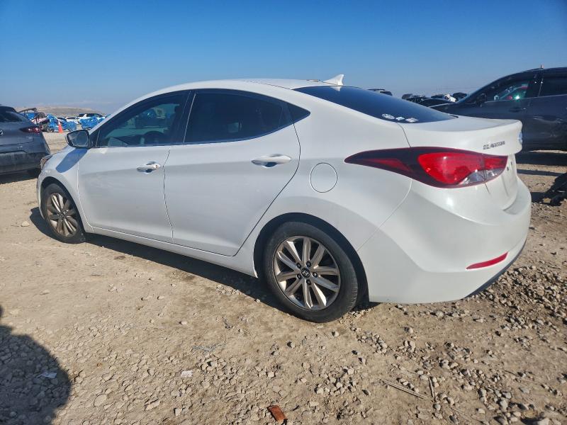 Фото 2 - HYUNDAI ELANTRA
