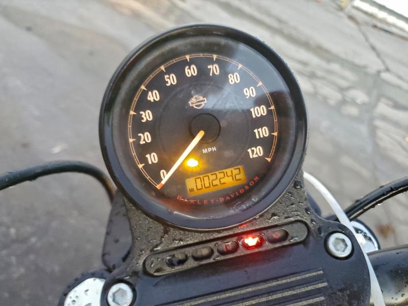 HARLEY-DAVIDSON XL883 N 2020