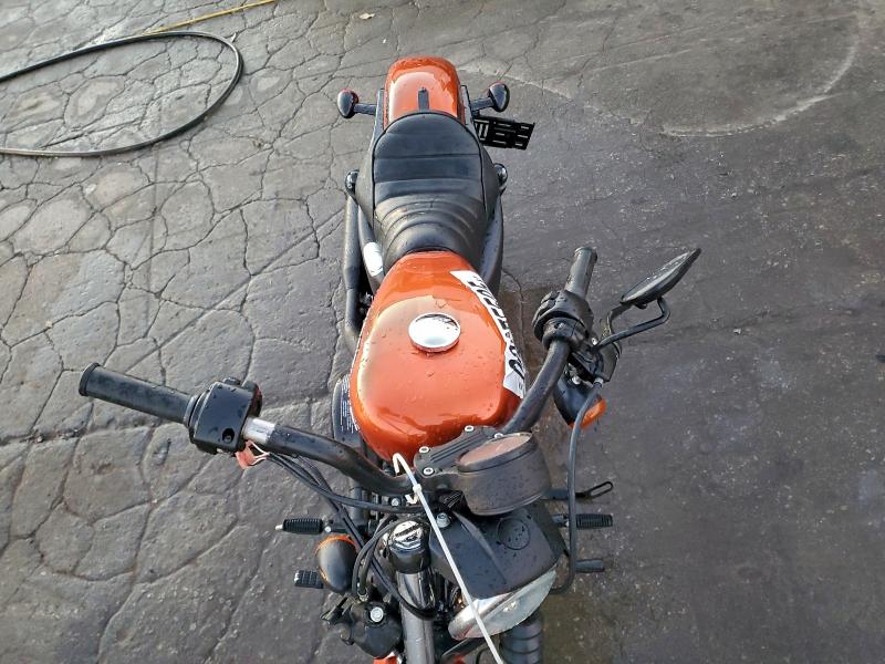 HARLEY-DAVIDSON XL883 N 2020