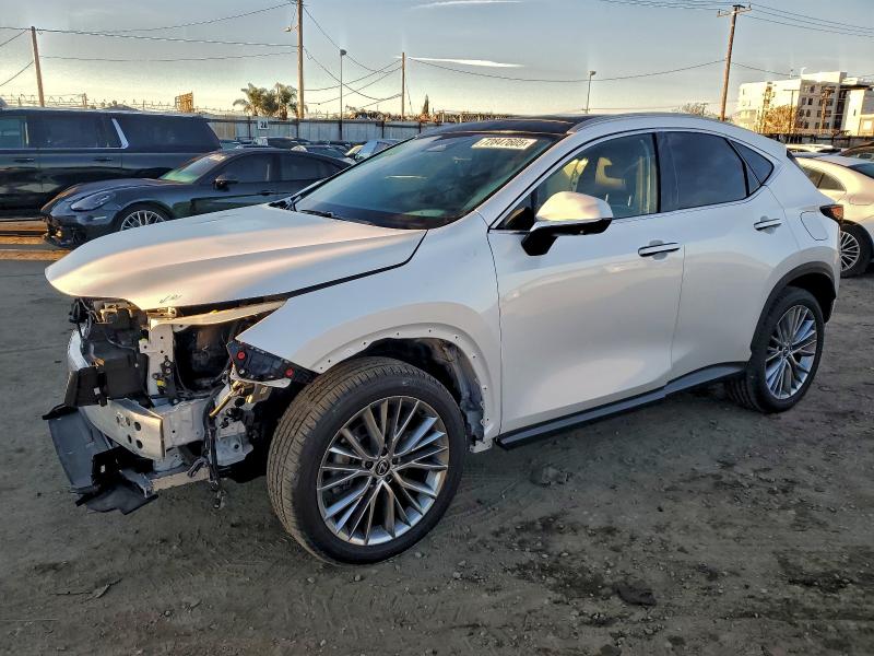 LEXUS NX 350 LUX 2024 VIN 2T2HGCEZ1RC048676