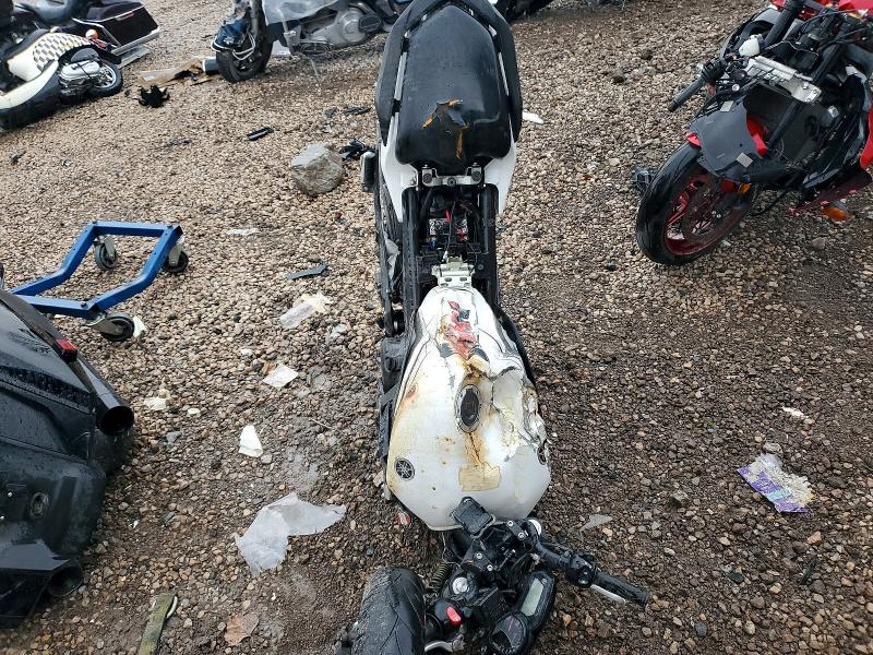 YAMAHA FZ600-800 2009