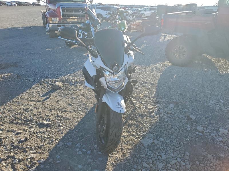 YAMAHA FZ600-800 2009