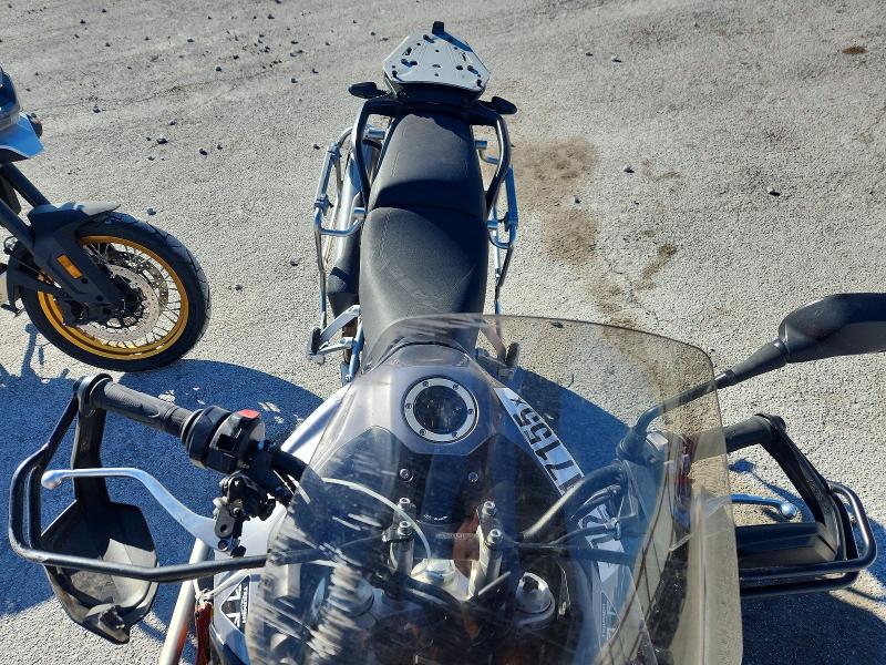 TRIUMPH TIGER 900 2024