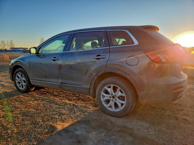 Фото 2 - MAZDA CX-9
