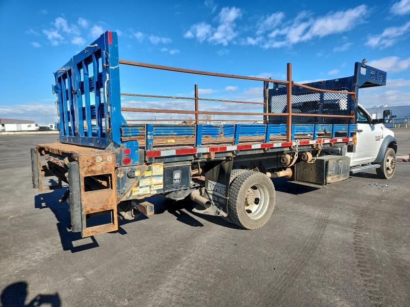 Фото 3 - RAM All Models