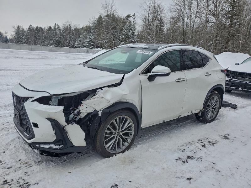 Фото 1 - LEXUS NX 350 PRE