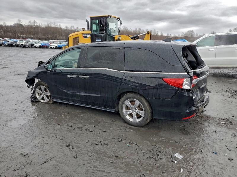 Фото 2 - HONDA All Models