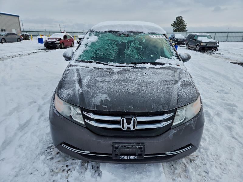 Фото 5 - HONDA All Models