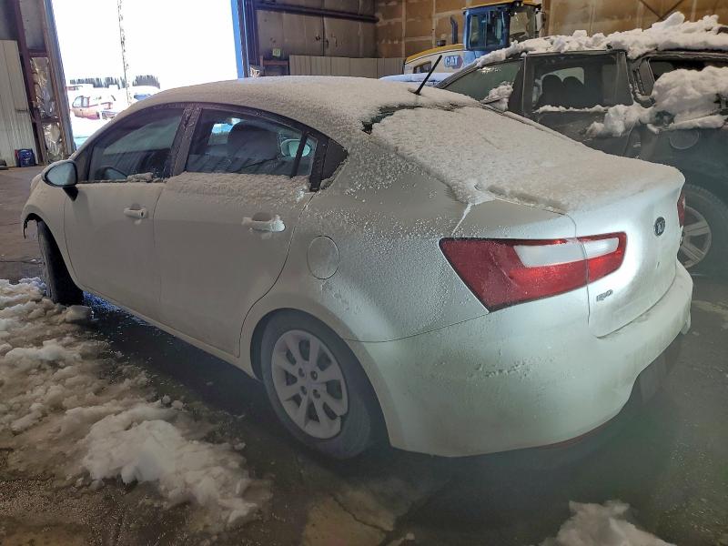 Фото 2 - KIA RIO