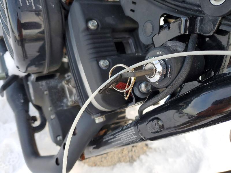 HARLEY-DAVIDSON XL883 N 2021