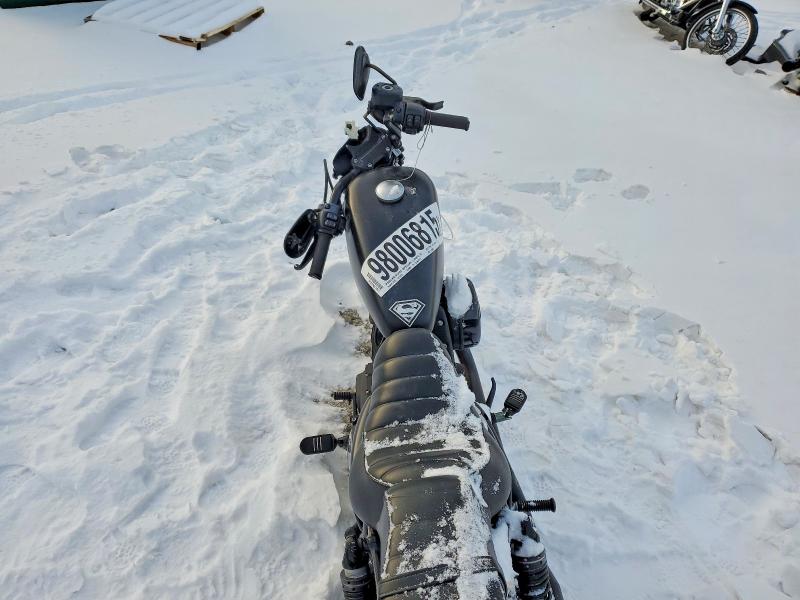 HARLEY-DAVIDSON XL883 N 2021