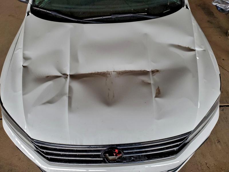 Фото 11 - VOLKSWAGEN PASSAT