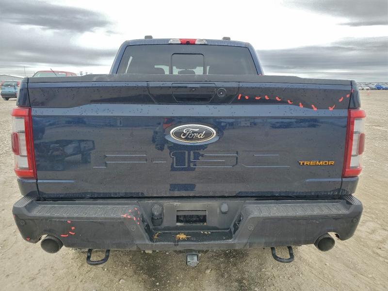 Фото 6 - FORD F-150