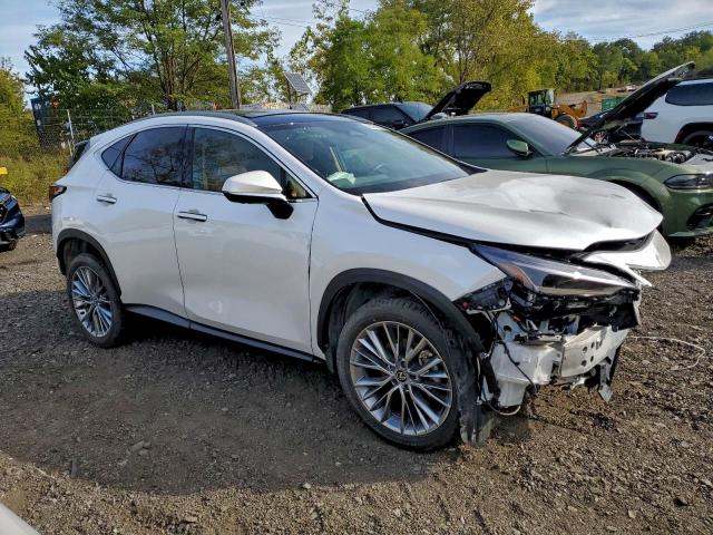 LEXUS NX 350H BA 2025 VIN 2T2HKCEZ0SC037592
