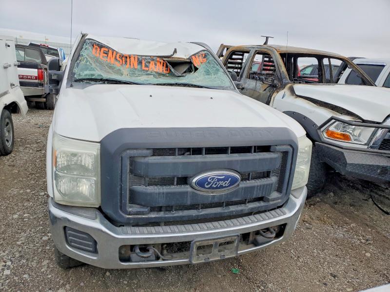 Фото 5 - FORD All Models