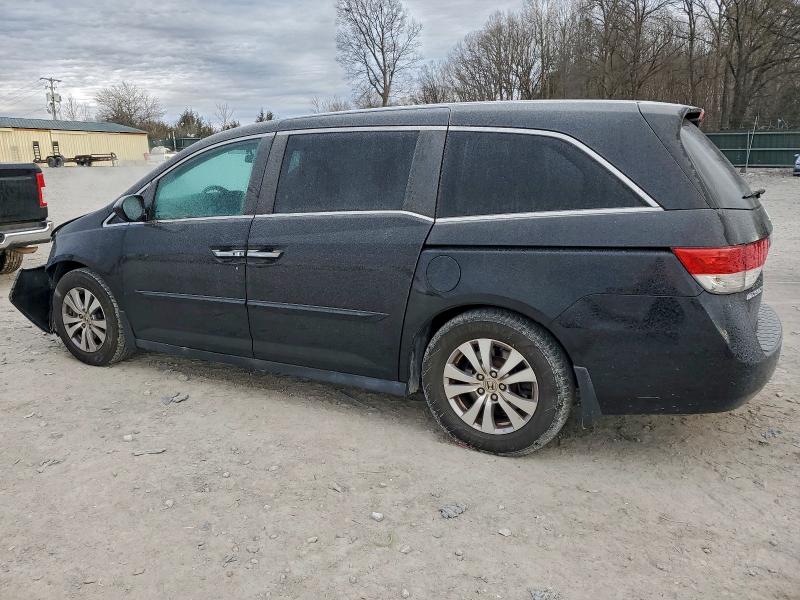 Фото 2 - HONDA All Models