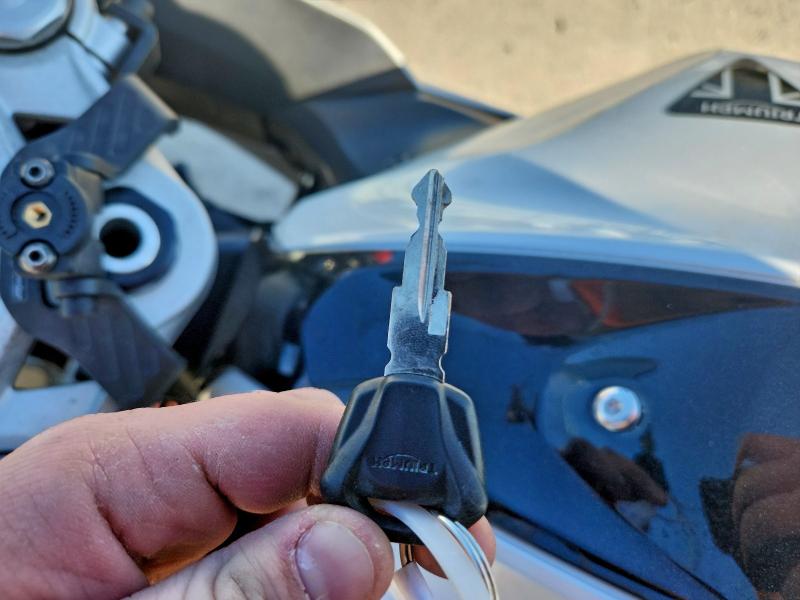 TRIUMPH DAYTONA 66 2025