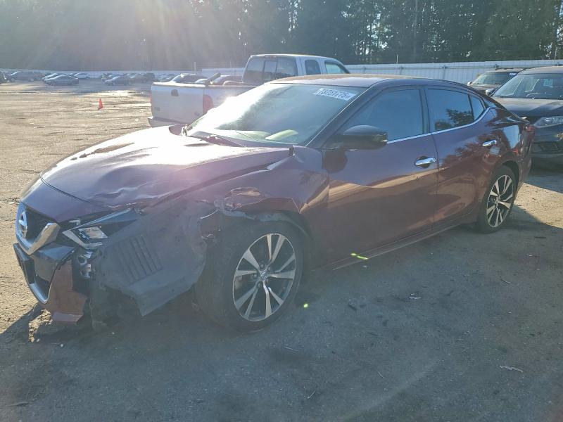 Фото 1 - NISSAN MAXIMA