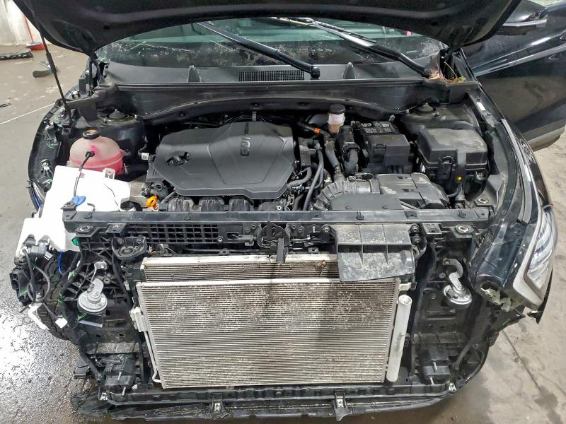 KIA SPORTAGE X 2023 VIN 5XYK7CAF0PG019967