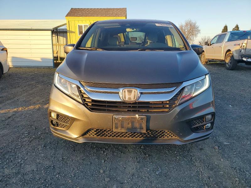 Фото 5 - HONDA All Models