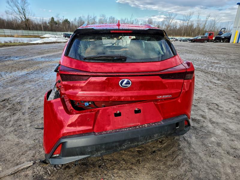 LEXUS UX 250H 2019 VIN JTHU9JBH5K2009458