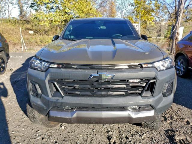 CHEVROLET COLORADO T 2023 VIN 1GCPTEEK9P1139013