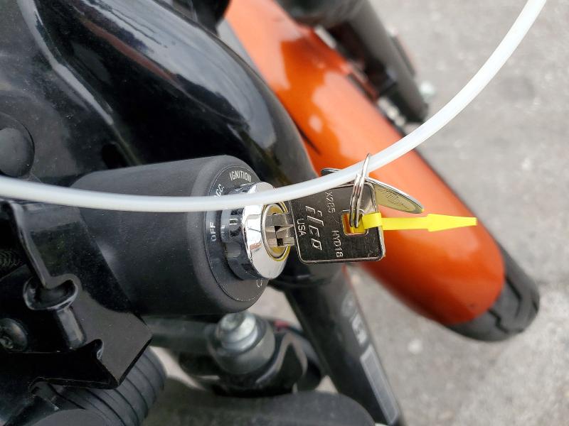 HARLEY-DAVIDSON XL883 N 2020