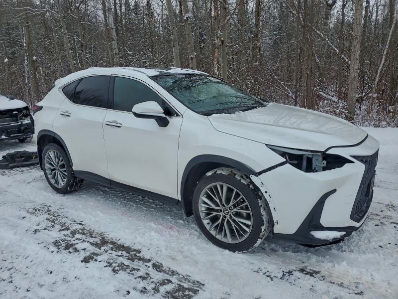 Фото 4 - LEXUS NX 350 PRE