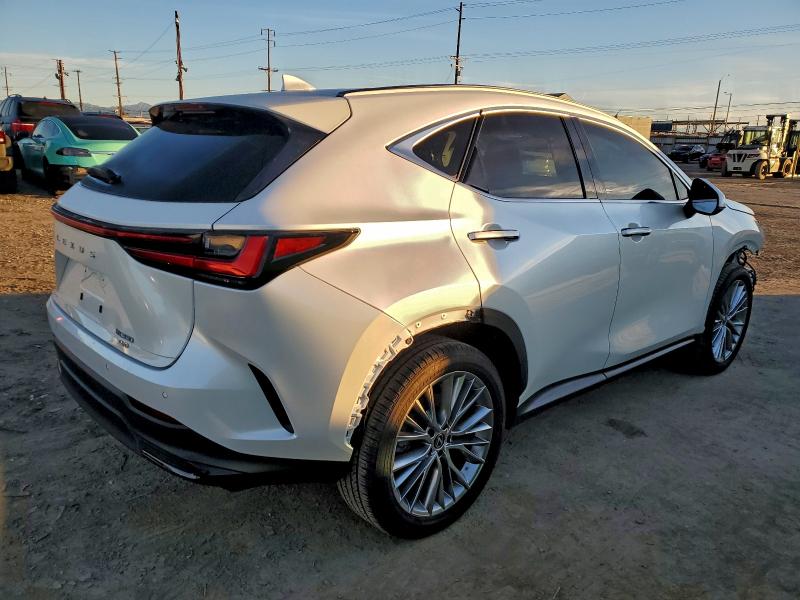 LEXUS NX 350 LUX 2024 VIN 2T2HGCEZ1RC048676
