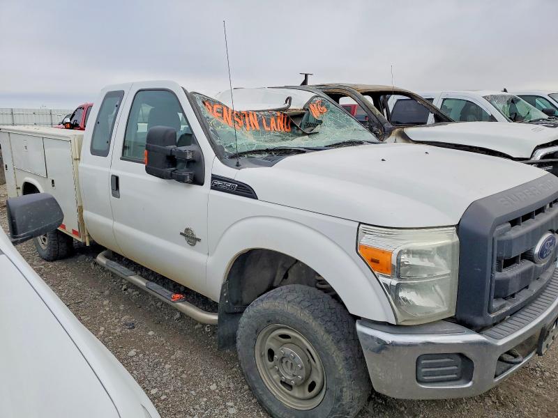 Фото 4 - FORD All Models