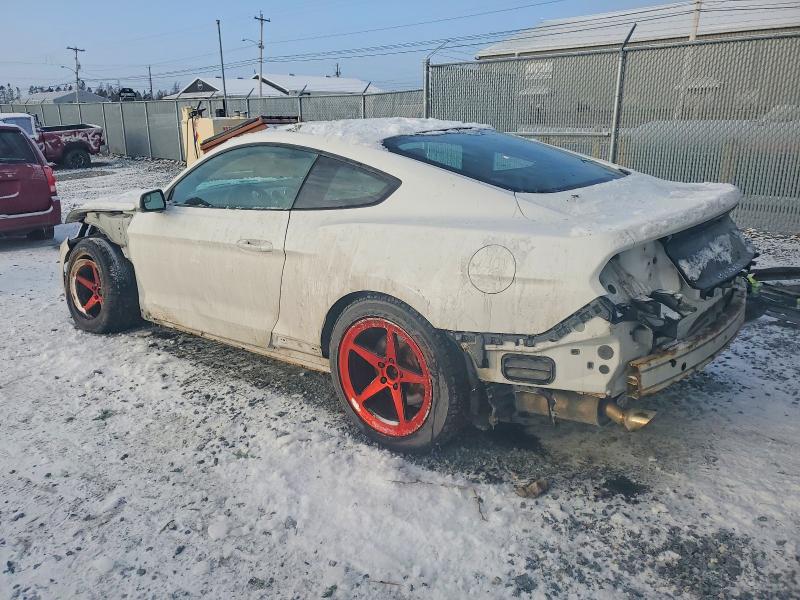 Фото 2 - FORD ALL Models