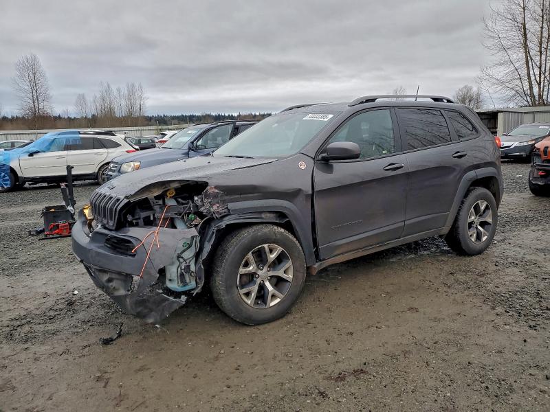 JEEP CHEROKEE 2016 VIN 1C4PJMBS5GW233087