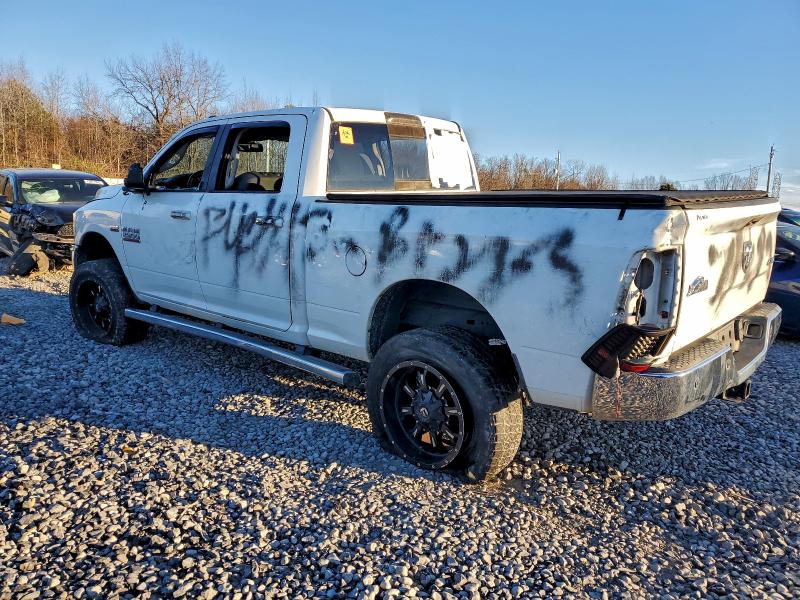 Фото 2 - RAM All Models