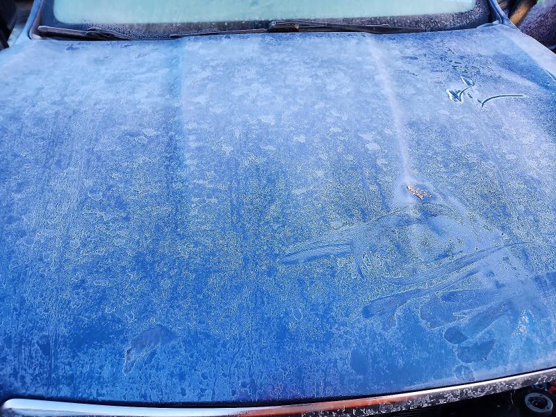 Фото 12 - SUBARU FORESTER