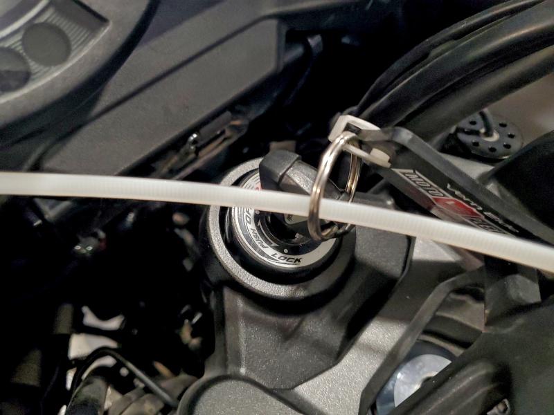 KAWASAKI KLZ1000 D 2021