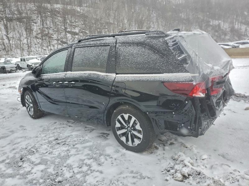 Фото 2 - HONDA All Models