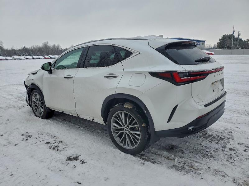 Фото 2 - LEXUS NX 350 PRE