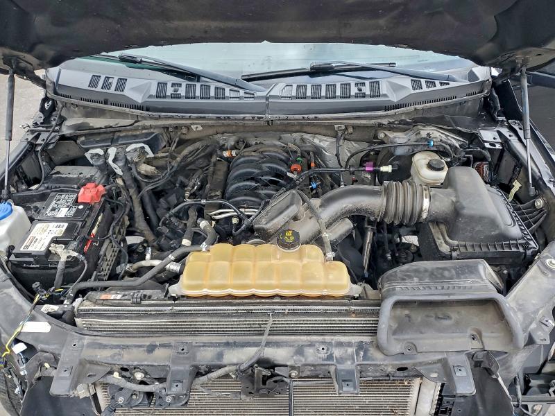 Фото 11 - FORD F-150