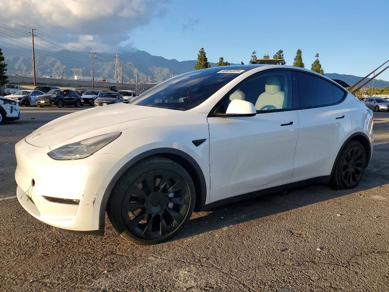 Фото 1 - TESLA MODEL Y