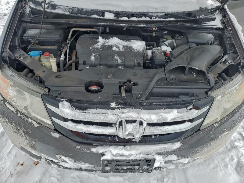 Фото 12 - HONDA All Models