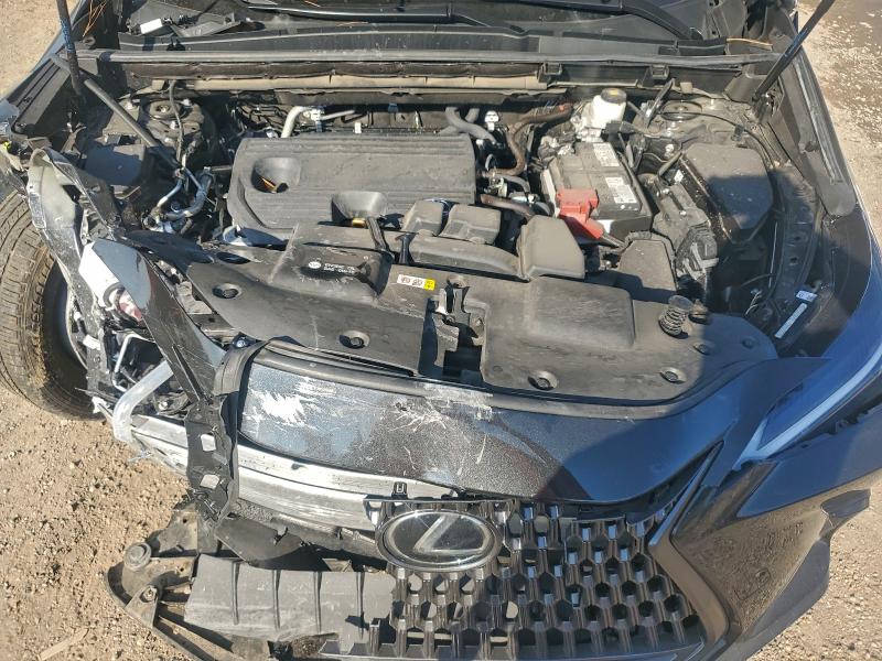 LEXUS NX 250 BAS 2024 VIN 2T2ADCAZ0RC011991