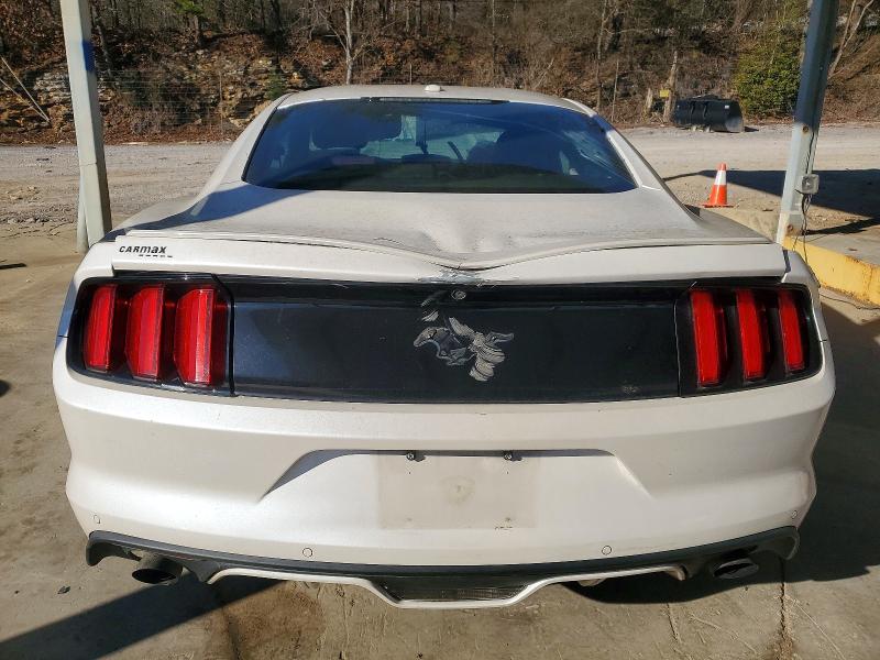 Фото 6 - FORD ALL Models