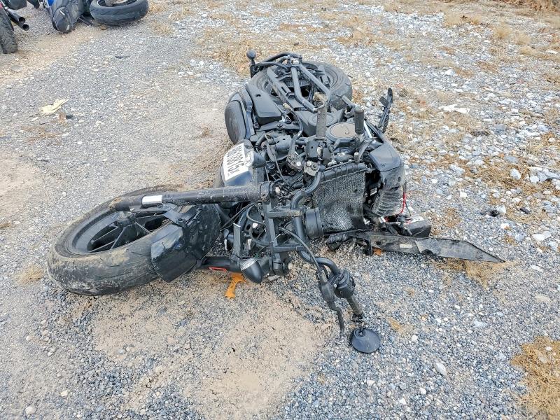 HARLEY-DAVIDSON RH1250 S 2024