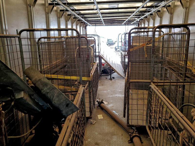 Фото 11 - FORD ALL Models