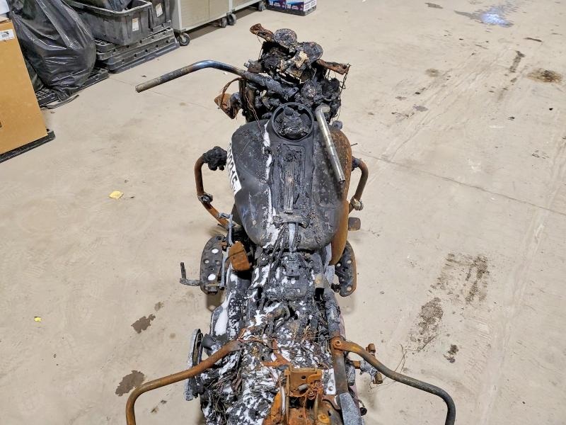 HARLEY-DAVIDSON FL 2021