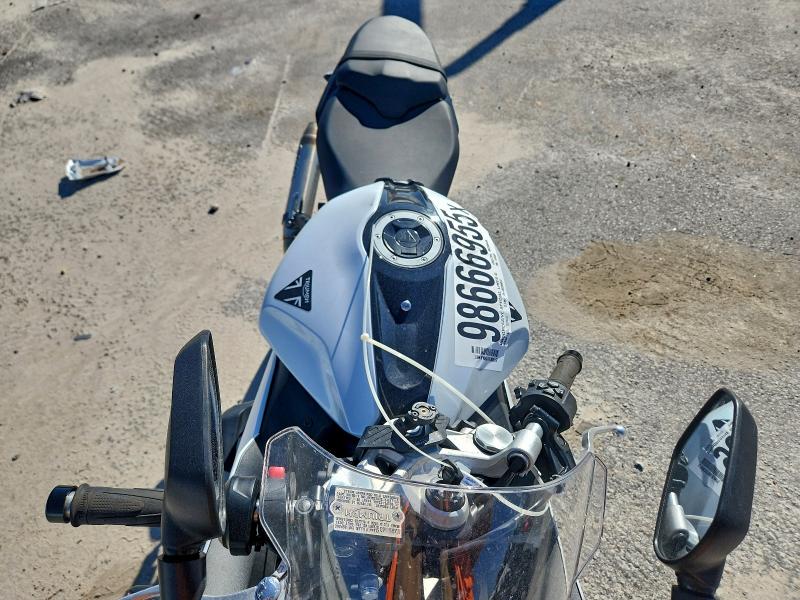 TRIUMPH DAYTONA 66 2025