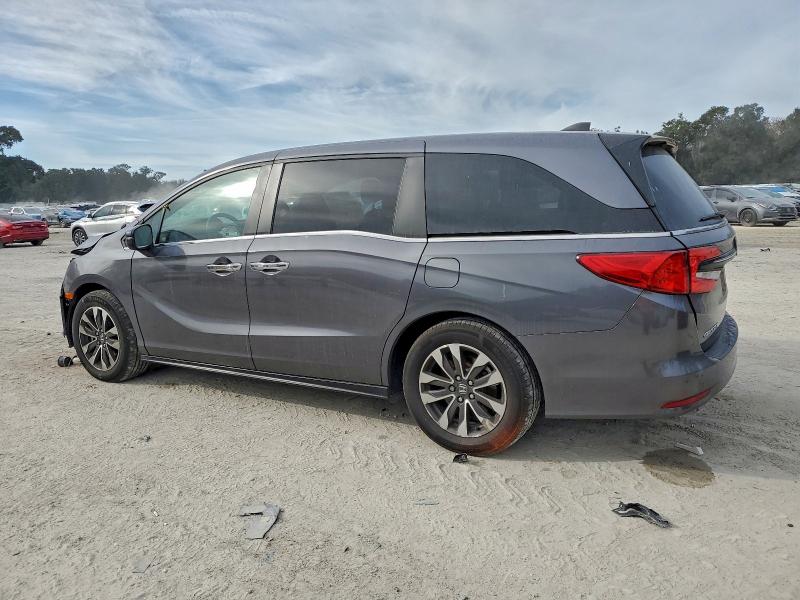 Фото 2 - HONDA All Models