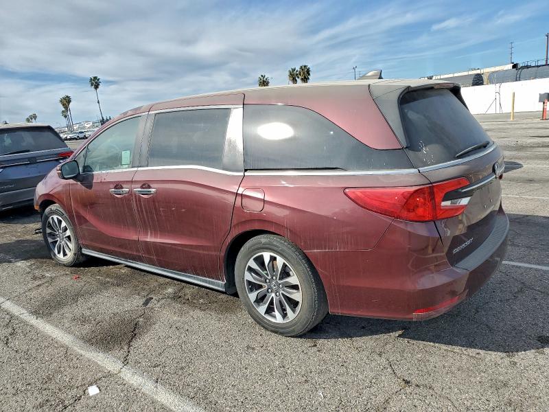 Фото 2 - HONDA All Models