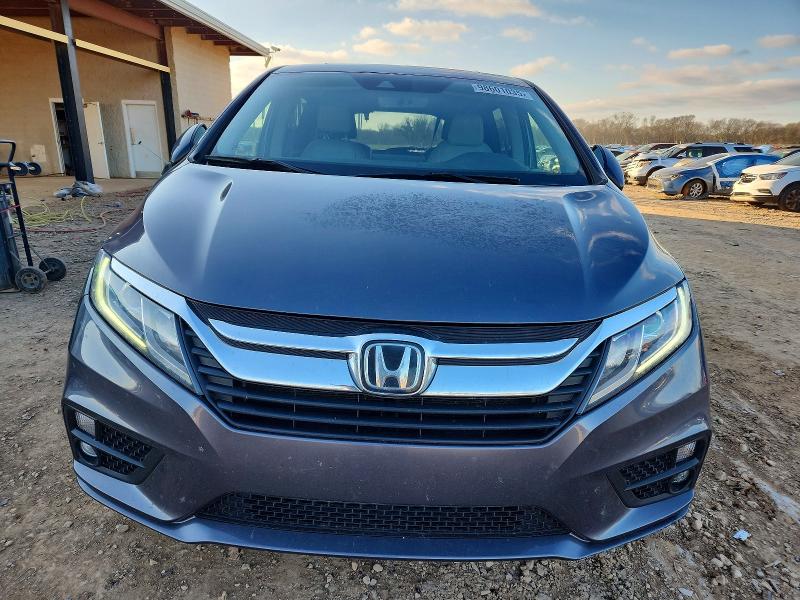 Фото 5 - HONDA All Models