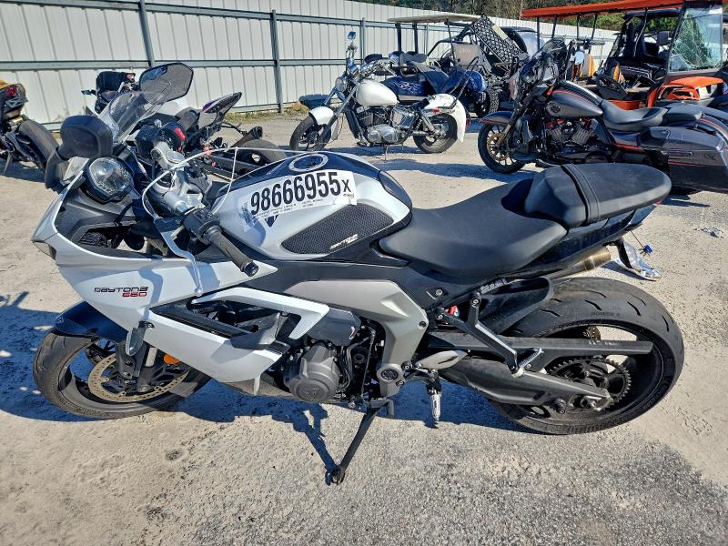 TRIUMPH DAYTONA 66 2025